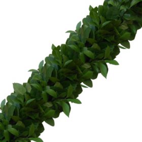 Garland, Israeli Ruscus and Salal (Choose 10, 25 or 75 ft.)