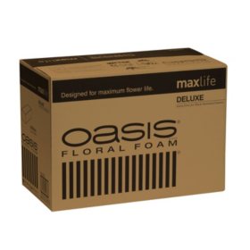 Oasis Deluxe Floral Foam (48 ct.)