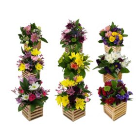 1pc Round Flower Arrangement Holder, With Flower Picks And Fixing Tool For  Floral Arrangement, Decoration