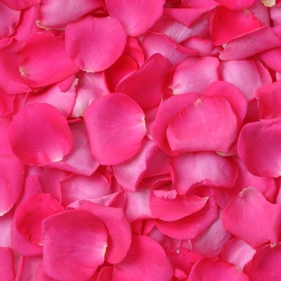 Bag of Fresh Red Rose Petals