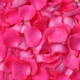 Member's Mark Fresh Rose Petals, 3,000 ct. (Choose Color Variety)