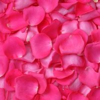 Rose Petals (Choose from 13 varieties; 3000 pk.)