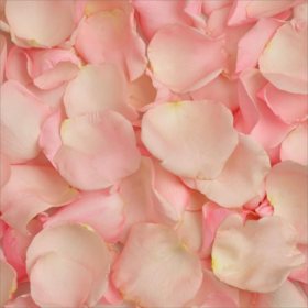 Member's Mark Fresh Rose Petals, 3000 ct., Choose color variety