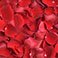 Red, variant on Member's Mark Fresh Rose Petals, 3000 ct., Choose color variety