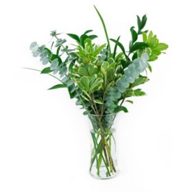 Member's Mark Just Add Blooms Greenery Bouquets, 15 bunches (Choose variety)