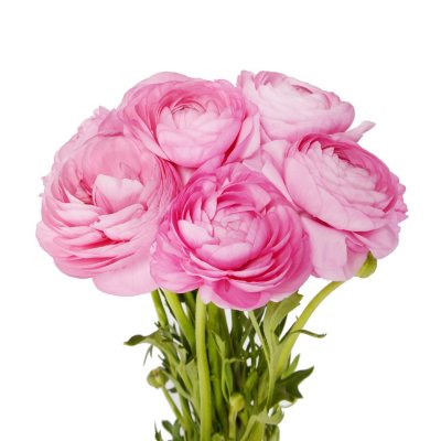 Flower Box Graceful Charm - roses, ranunculuses, peonies
