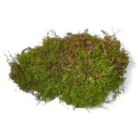 Sheet Moss (10-lb. box)