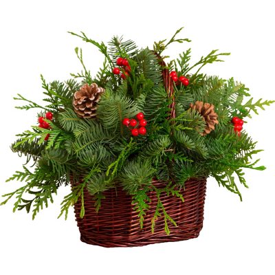 Fresh Greens Christmas Basket Centerpiece - Sam's Club