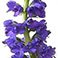 Blue, variant on Member's Mark Veronica Flower, 100 stems, Choose color