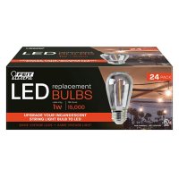 Feit Electric LED Filament Bulbs (24 pk.)