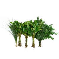 Western Greens Mix (5 bunches)
