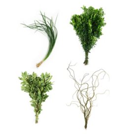 California Fresh Greenery Mix (20 bunches)