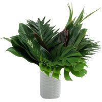 Foliage Amazon Box (60 stems)