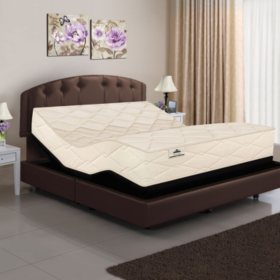 American Sleep Collection Split King Organic Elements All Latex Core Mattress and Adjustable Base