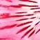 Hot Pink, variant on Member's Mark Alstroemeria, Choose color and stem count