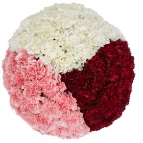 Member's Mark Carnations (Choose color and stem count)