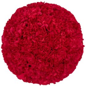 Member's Mark Carnations, Choose color and stem count