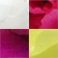 Assorted, variant on Member's Mark Mini Carnations, Choose color and stem count
