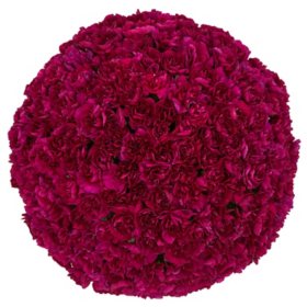 Member's Mark Mini Carnations, Choose color and stem count
