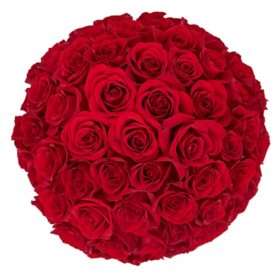 Member's Mark 50 cm Roses (Choose Color Variety & Stem Count)