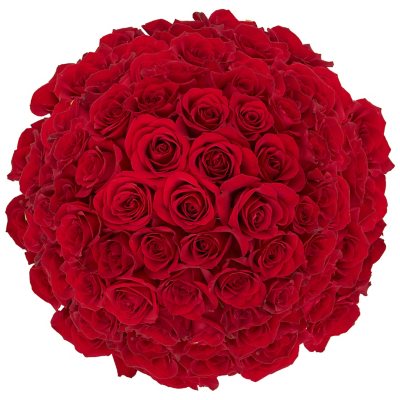 Member's Mark Roses, Choose color variety and stem count - Sam's Club