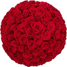 Member's Mark Roses, choose color variety and stem count