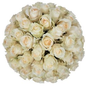 Member's Mark Roses (Choose color variety and stem count)