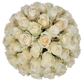 Roses for sale near me discount
