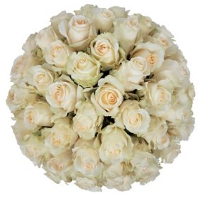 Member's Mark Roses, Choose color variety and stem count