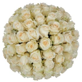 Member's Mark Roses, choose color variety and stem count
