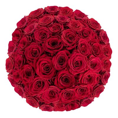 50ct Bulk Flowers Fresh Dark Pink Roses