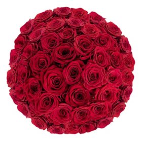 Member's Mark Ecuadorian Premium Roses, choose color variety and stem count