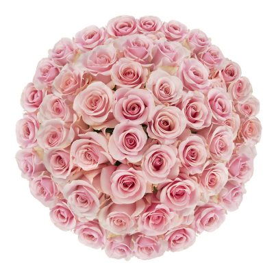 Premium Pink Roses (choose 50, 100 or 150 stems) - Sam's Club