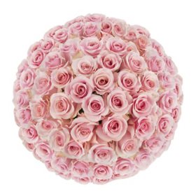 Premium Roses 60 cm (Choose from White, Red or Pink; 50, 100 or 150 stems)