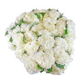 Member's Mark Hydrangeas, Choose color and stem count