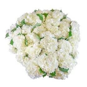 Member's Mark Hydrangeas (Choose color and stem count)
