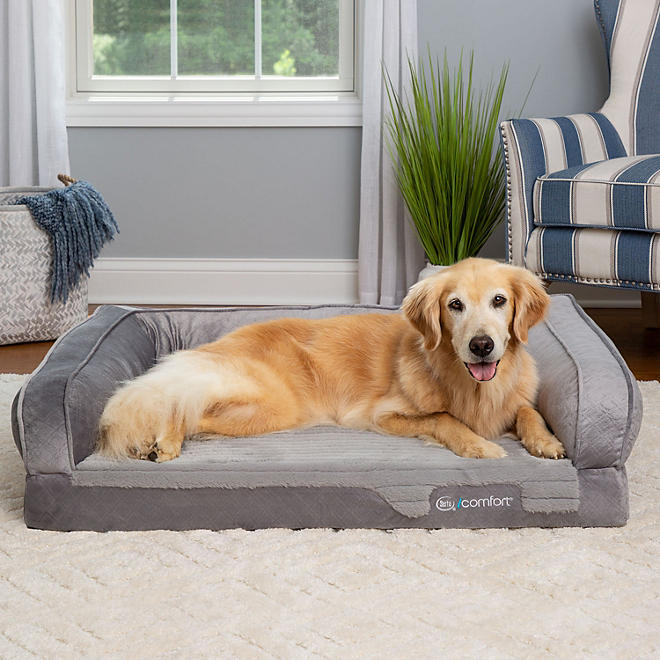 iComfort XL Couch Premium Pet Bed, 44" x 30" - Various Colors