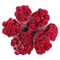 Spray Roses (Choose from 6 varieties; 60 stems)