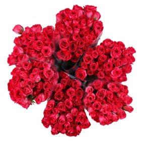  Dark Pink Rose Stems, 24ct. : Grocery & Gourmet Food