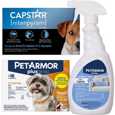 Capstar flea hotsell treatment for dogs