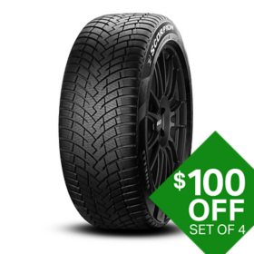 Pirelli Scorpion WeatherActive - 225/60R18 100W Tire