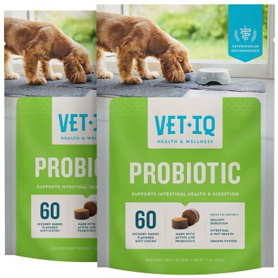 Probiotic chews for clearance dogs