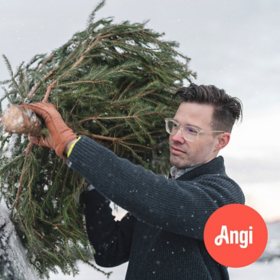 Christmas Tree Haul Away Service