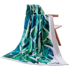 Loft by Loftex Artist's Collection Beach Towel, Assorted Colors
