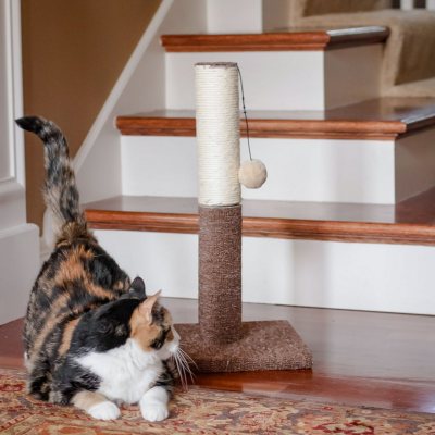 Carpeted cat tower sam's club best sale