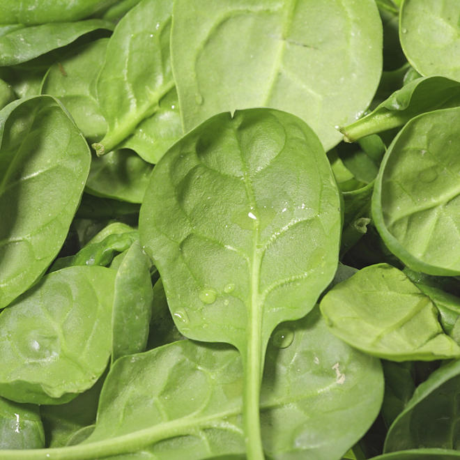 Baby Leaf Spinach - 1.5 lb.