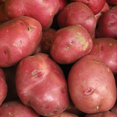 Red Potato (10 lb. bag) Sam's Club