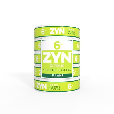 Zyn Nicotine Pouches - 6MG