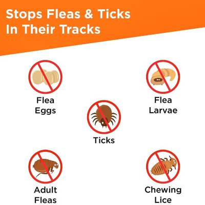 flea and tick stuff for dogs
