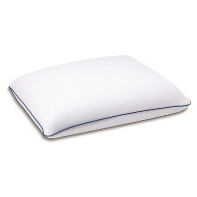 sam's club tencel pillow